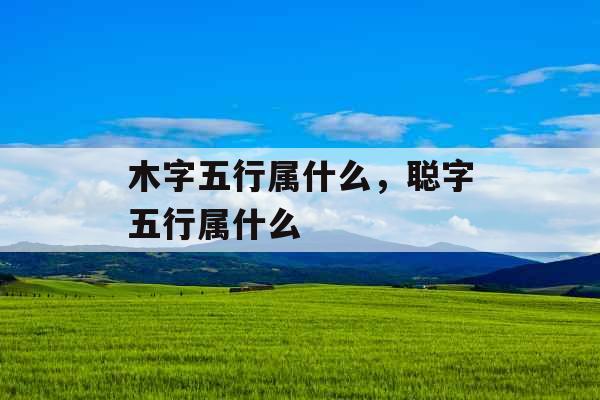木字五行属什么，聪字五行属什么