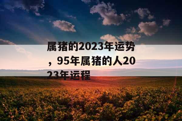 属猪的2023年运势，95年属猪的人2023年运程