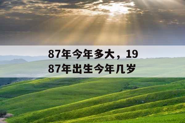 87年今年多大，1987年出生今年几岁
