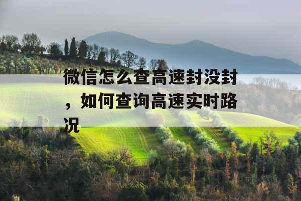 微信怎么查高速封没封，如何查询高速实时路况