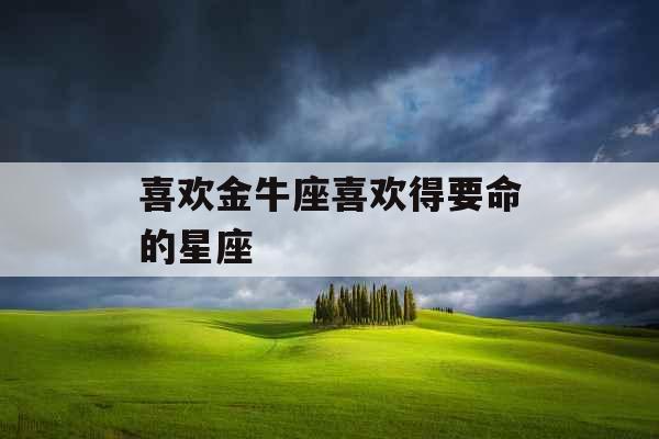 喜欢金牛座喜欢得要命的星座