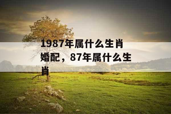 1987年属什么生肖婚配，87年属什么生肖