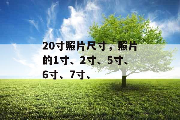 20寸照片尺寸，照片的1寸、2寸、5寸、6寸、7寸、