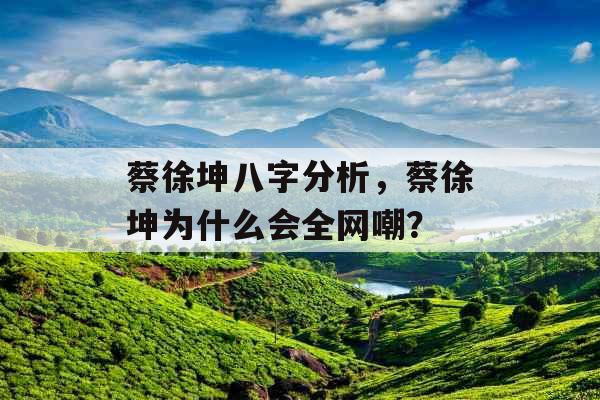 蔡徐坤八字分析，蔡徐坤为什么会全网嘲？