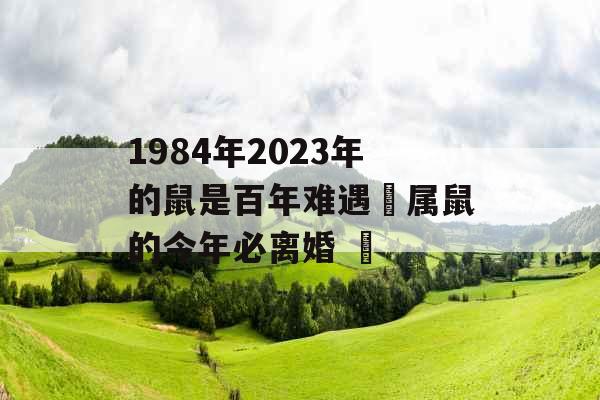 1984年2023年的鼠是百年难遇 属鼠的今年必离婚  