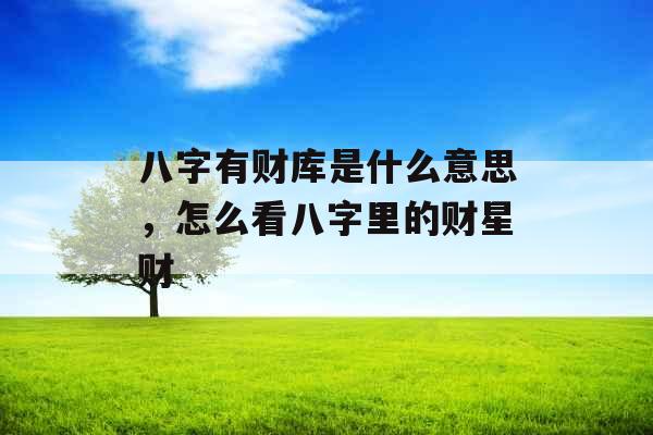 八字有财库是什么意思，怎么看八字里的财星财