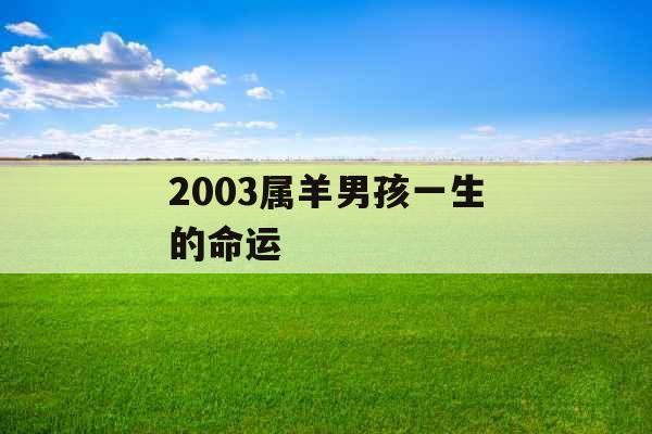 2003属羊男孩一生的命运