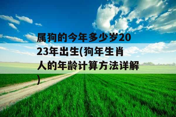 属狗的今年多少岁2023年出生(狗年生肖人的年龄计算方法详解)