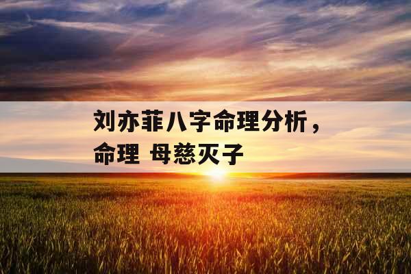 刘亦菲八字命理分析，命理 母慈灭子