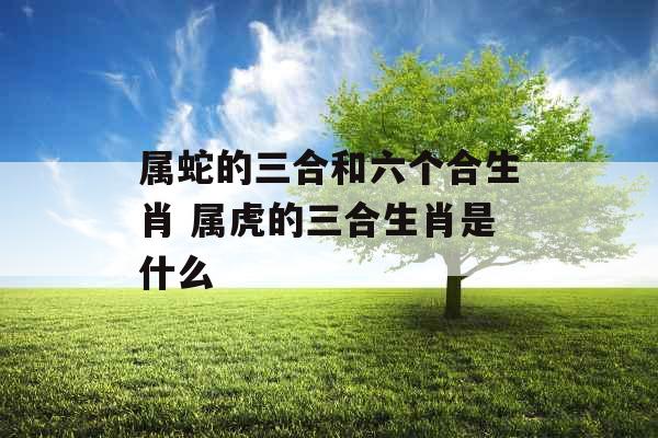 属蛇的三合和六个合生肖 属虎的三合生肖是什么