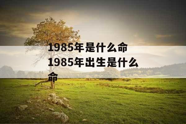 1985年是什么命 1985年出生是什么命 1985年是什么命 1985年出生是什么命