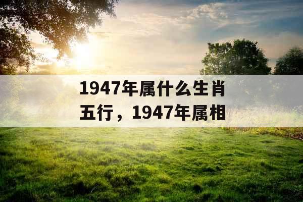 1947年属什么生肖五行，1947年属相