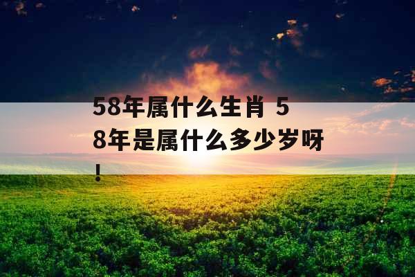 58年属什么生肖 58年是属什么多少岁呀！