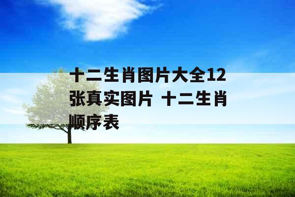 十二生肖图片大全12张真实图片 十二生肖顺序表