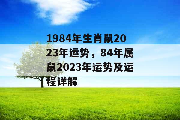 1984年生肖鼠2023年运势，84年属鼠2023年运势及运程详解