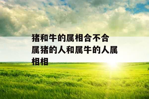 猪和牛的属相合不合 属猪的人和属牛的人属相相