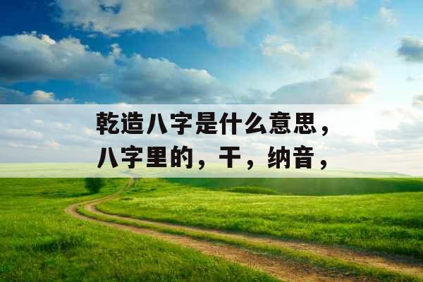 乾造八字是什么意思，八字里的，干，纳音，
