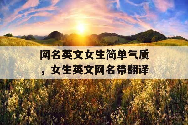 网名英文女生简单气质，女生英文网名带翻译