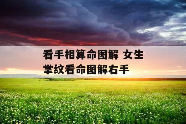 看手相算命图解 女生掌纹看命图解右手