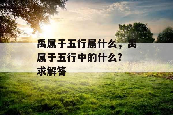 禹属于五行属什么，禹属于五行中的什么? 求解答