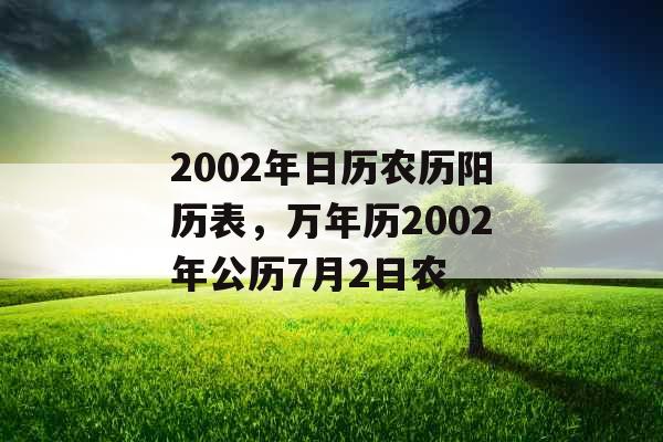 2002年日历农历阳历表，万年历2002年公历7月2日农