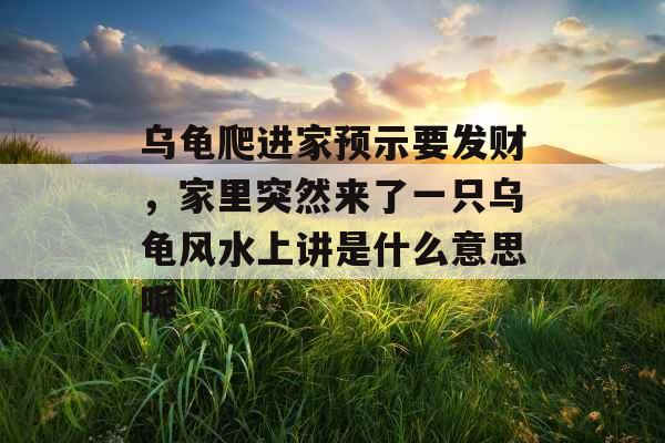 乌龟爬进家预示要发财,家里突然来了一只乌龟风水上讲是什么意思呢 乌龟爬进家预示要发财,家里突然来了一只乌龟风水上讲是什么意思呢