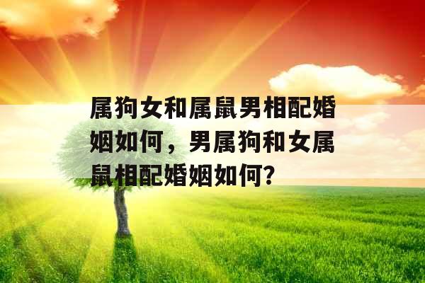 属狗女和属鼠男相配婚姻如何,男属狗和女属鼠相配婚姻如何? 属狗女和属鼠男相配婚姻如何,男属狗和女属鼠相配婚姻如何?