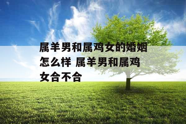 属羊男和属鸡女的婚姻怎么样 属羊男和属鸡女合不合 属羊男和属鸡女的婚姻怎么样 属羊男和属鸡女合不合