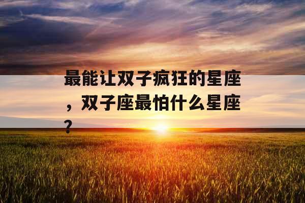 最能让双子疯狂的星座，双子座最怕什么星座？