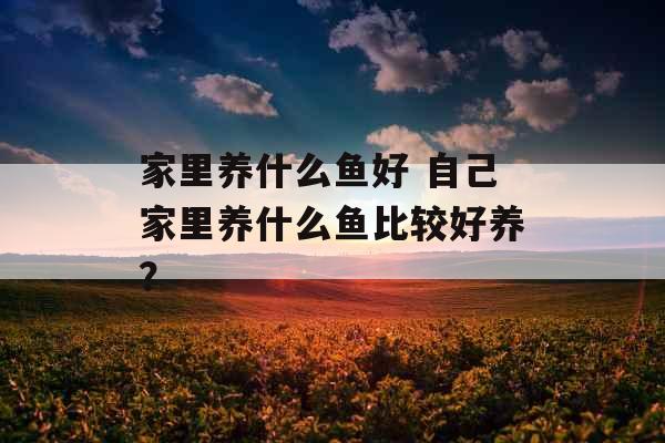 家里养什么鱼好 自己家里养什么鱼比较好养？