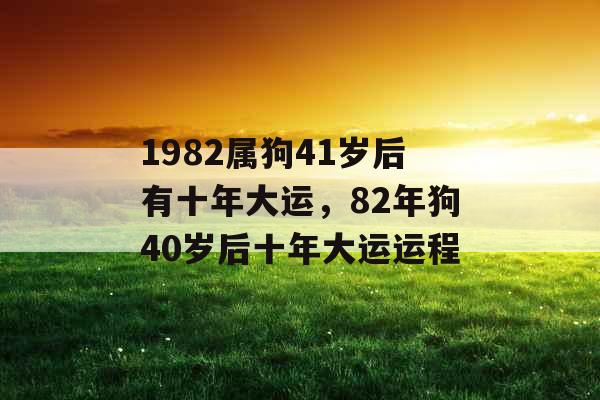 1982属狗41岁后有十年大运,82年狗40岁后十年大运运程 1982属狗41岁后有十年大运,82年狗40岁后十年大运运程