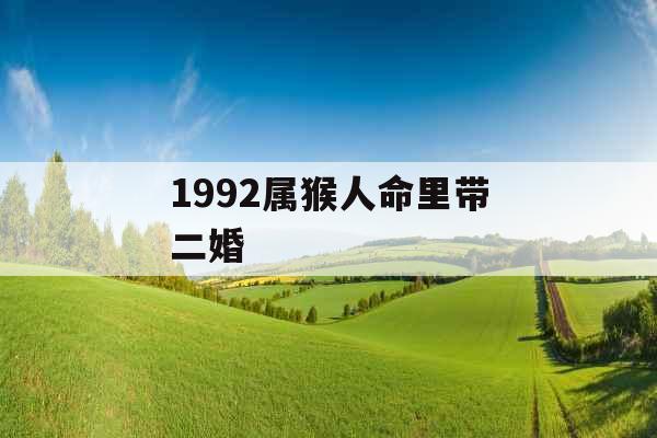 1992属猴人命里带二婚