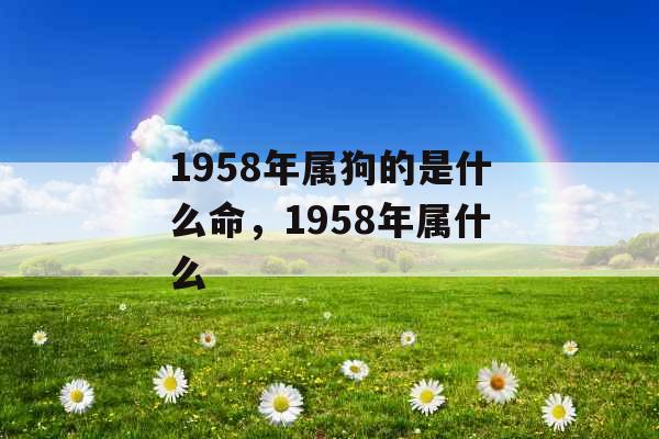 1958年属狗的是什么命，1958年属什么