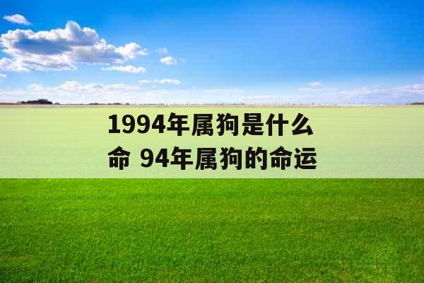 1994年属狗是什么命 94年属狗的命运