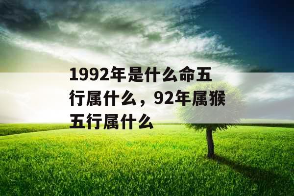 1992年是什么命五行属什么，92年属猴五行属什么