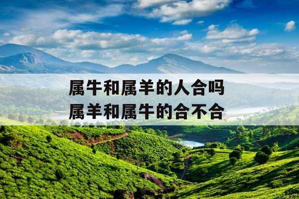 属牛和属羊的人合吗 属羊和属牛的合不合 属牛和属羊的人合吗 属羊和属牛的合不合