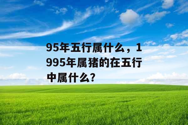 95年五行属什么，1995年属猪的在五行中属什么？