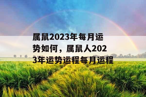 属鼠2023年每月运势如何，属鼠人2023年运势运程每月运程