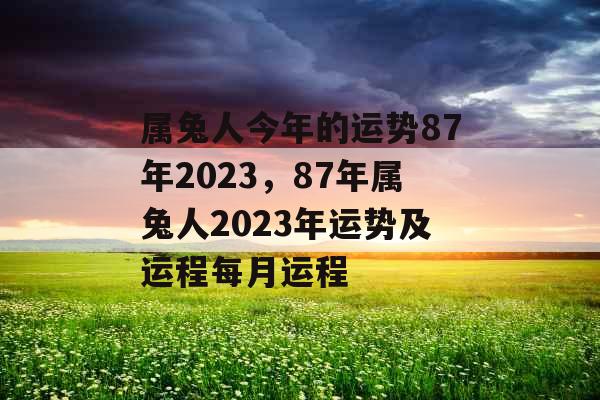 属兔人今年的运势87年2023，87年属兔人2023年运势及运程每月运程