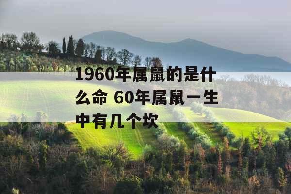 1960年属鼠的是什么命 60年属鼠一生中有几个坎