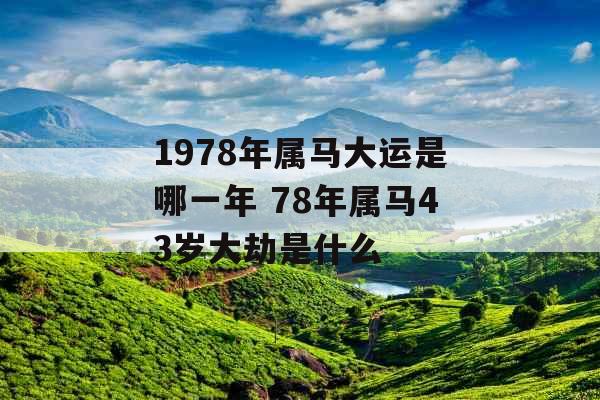 1978年属马大运是哪一年 78年属马43岁大劫是什么