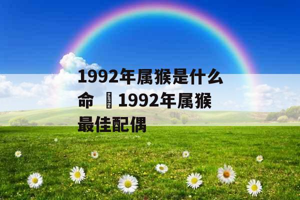 1992年属猴是什么命  1992年属猴最佳配偶