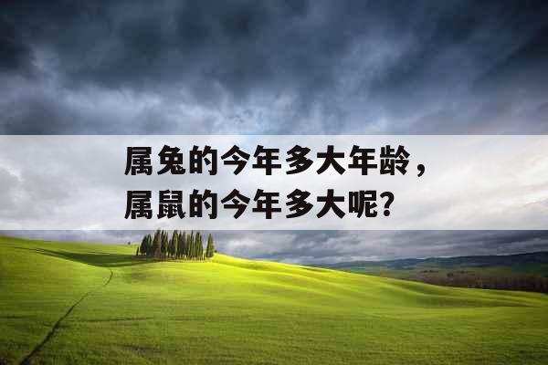 属兔的今年多大年龄，属鼠的今年多大呢？