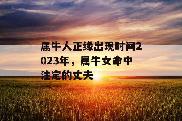属牛人正缘出现时间2023年，属牛女命中注定的丈夫
