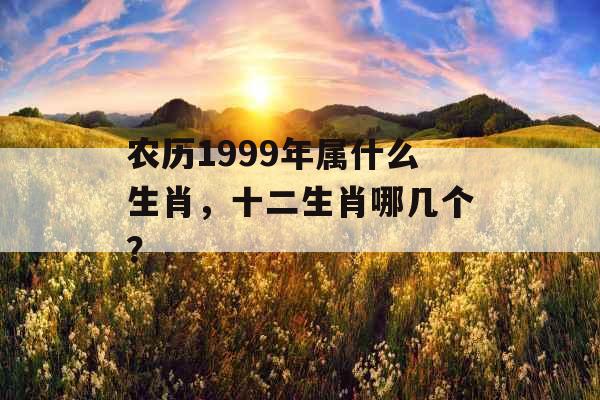 农历1999年属什么生肖，十二生肖哪几个？