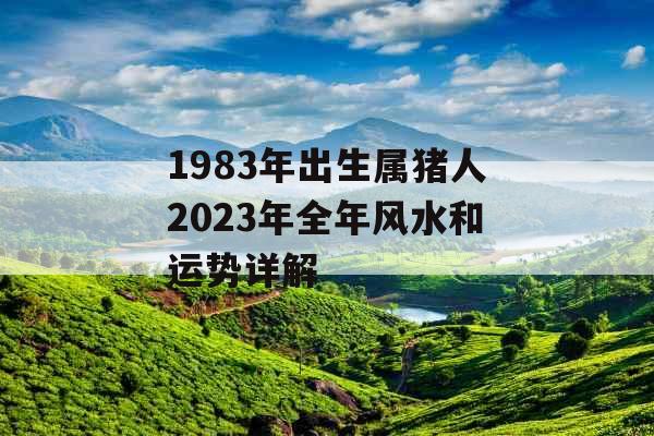 1983年出生属猪人2023年全年风水和运势详解