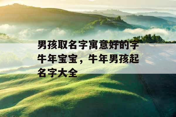 男孩取名字寓意好的字牛年宝宝,牛年男孩起名字大全 男孩取名字寓意好的字牛年宝宝,牛年男孩起名字大全