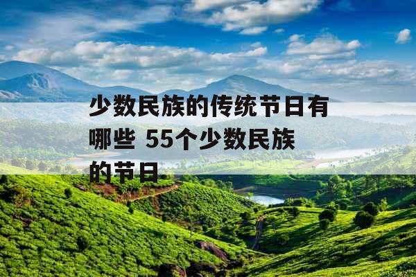 少数民族的传统节日有哪些 55个少数民族的节日