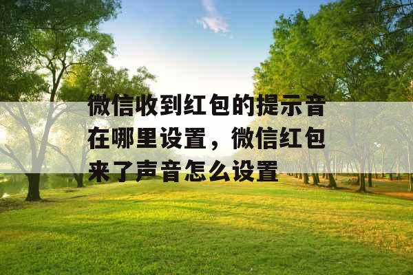 微信收到红包的提示音在哪里设置，微信红包来了声音怎么设置