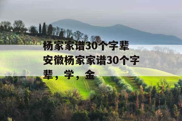 杨家家谱30个字辈 安徽杨家家谱30个字辈，学，金